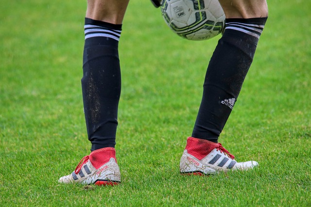 更提升了农 更提升了农