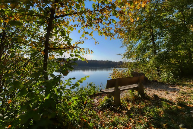 化的深耕与 化的深耕与