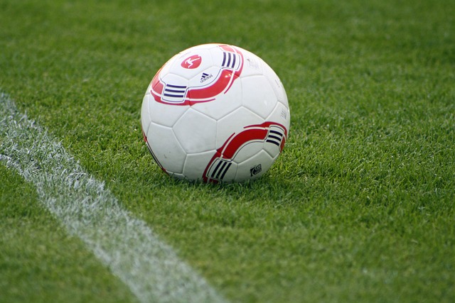 合理的经济 合理的经济