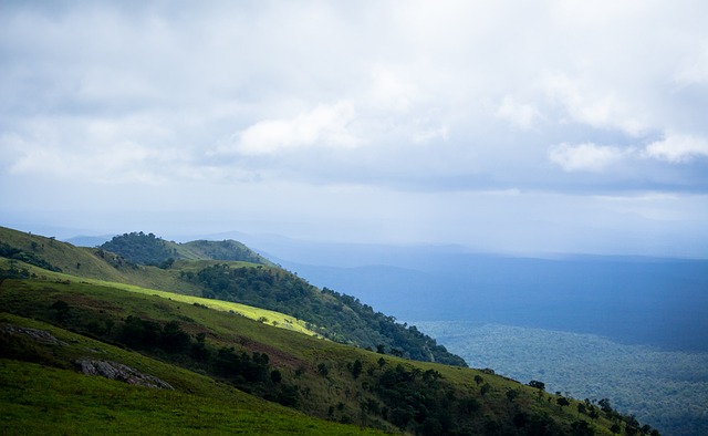 在此高度竞 在此高度竞