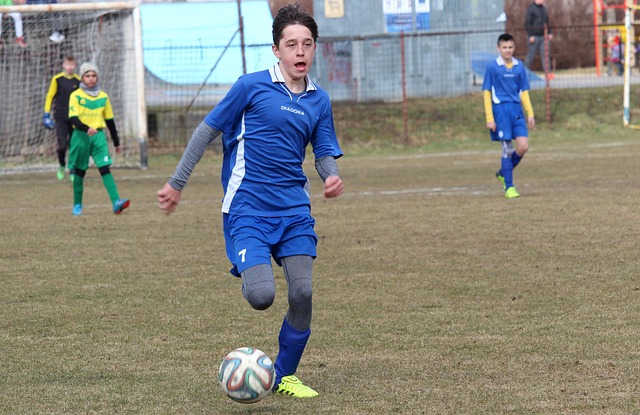 并非毫无根 并非毫无根