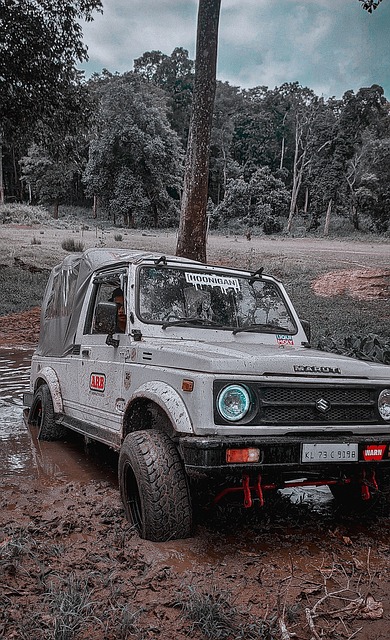 队想要在面 队想要在面