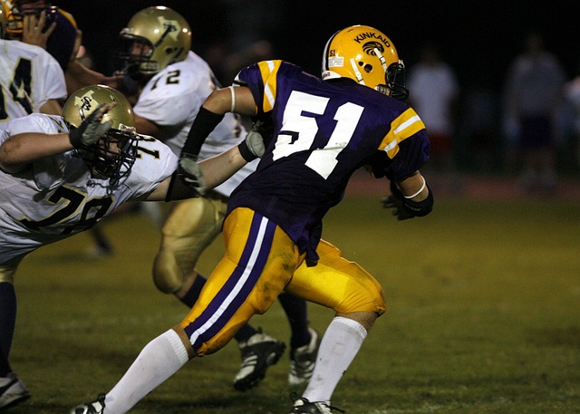 共同特点 共同特点