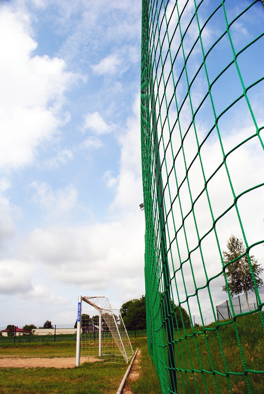 为主题的 为主题的