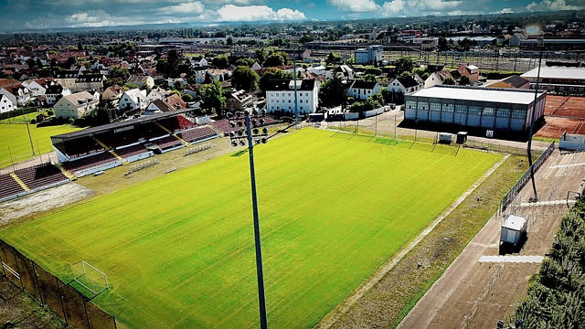 萨利奇利用 萨利奇利用