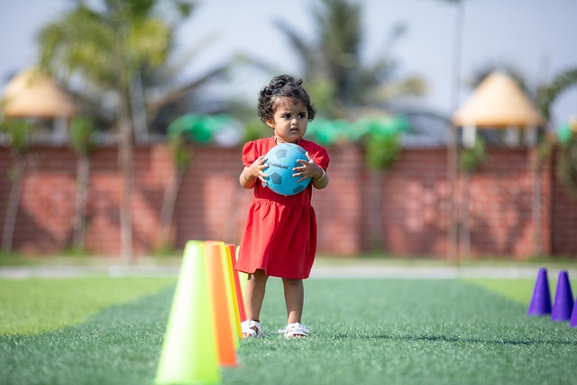 的努力方向 的努力方向